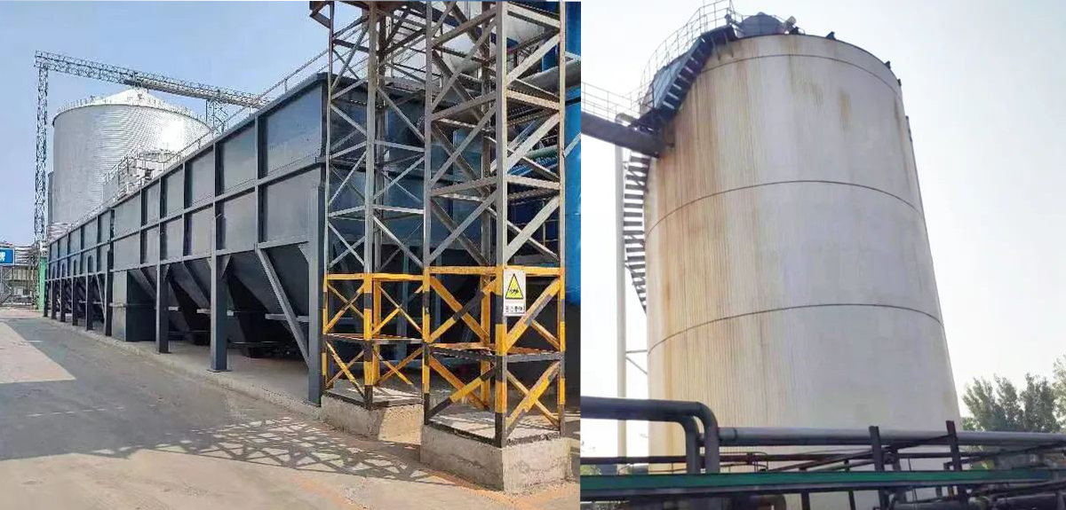 1708566659854442.jpg 99.jpg